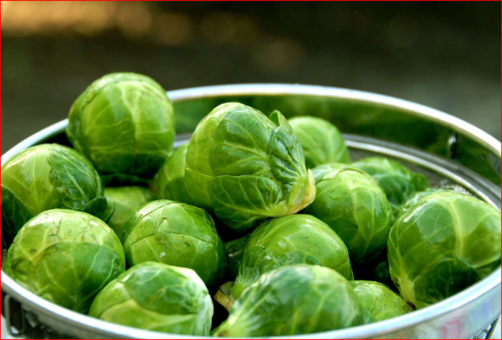 Brussels Sprouts