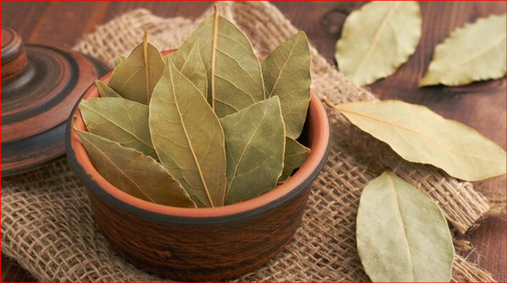 bay leaves beneficial in uric acid