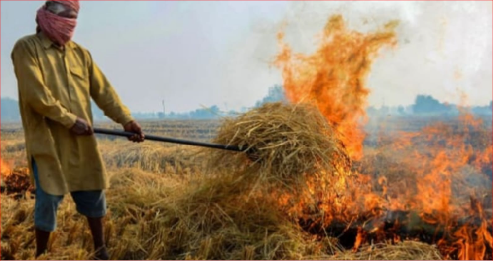 Delhi Air Pollution