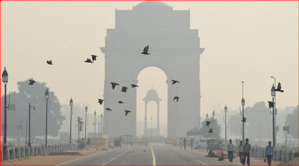 Winter Season In Delhi