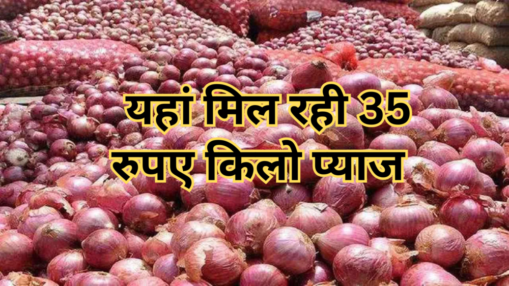 Onion Price