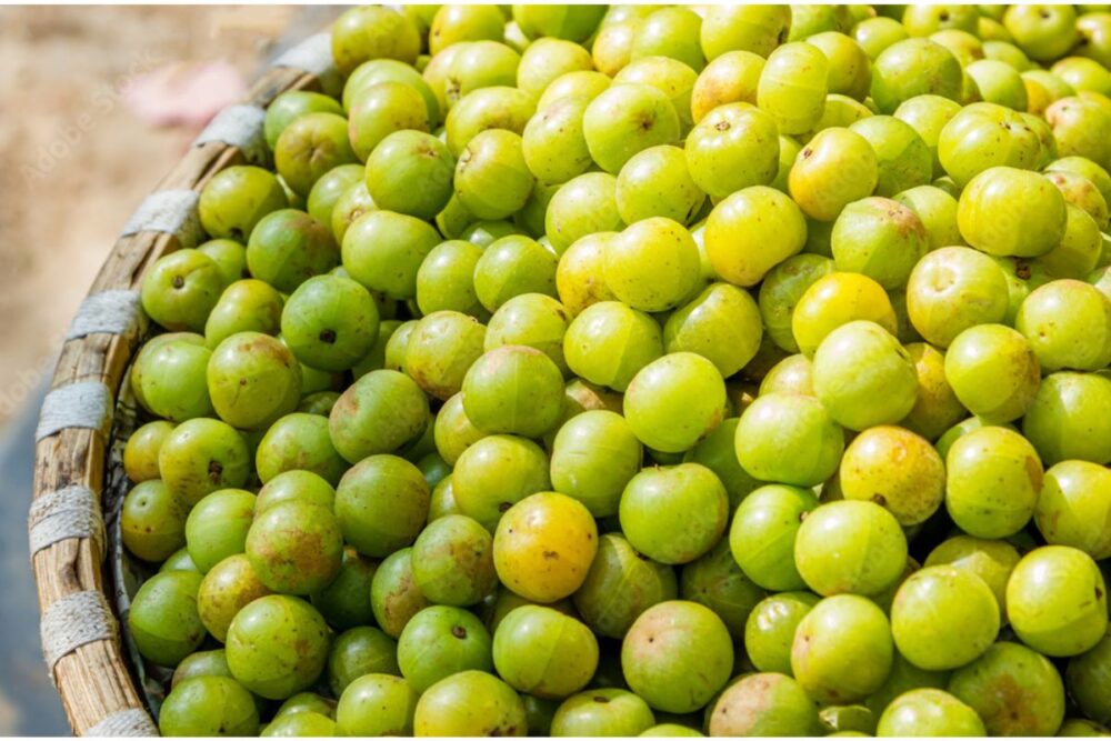 Amla For Health