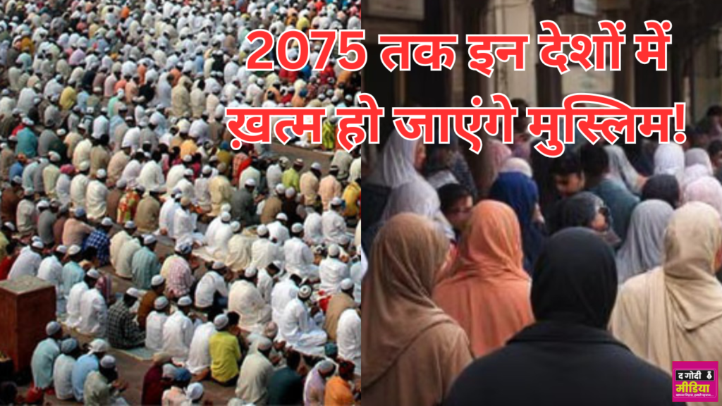Muslims In Countries
