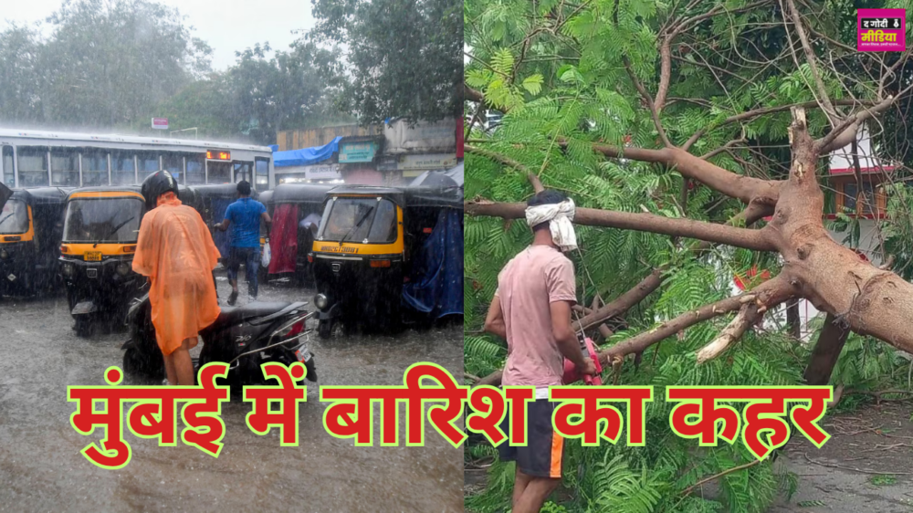 Rain Caused Havoc