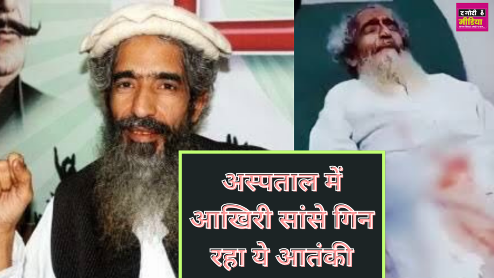 Terrorist Aamir Hamza