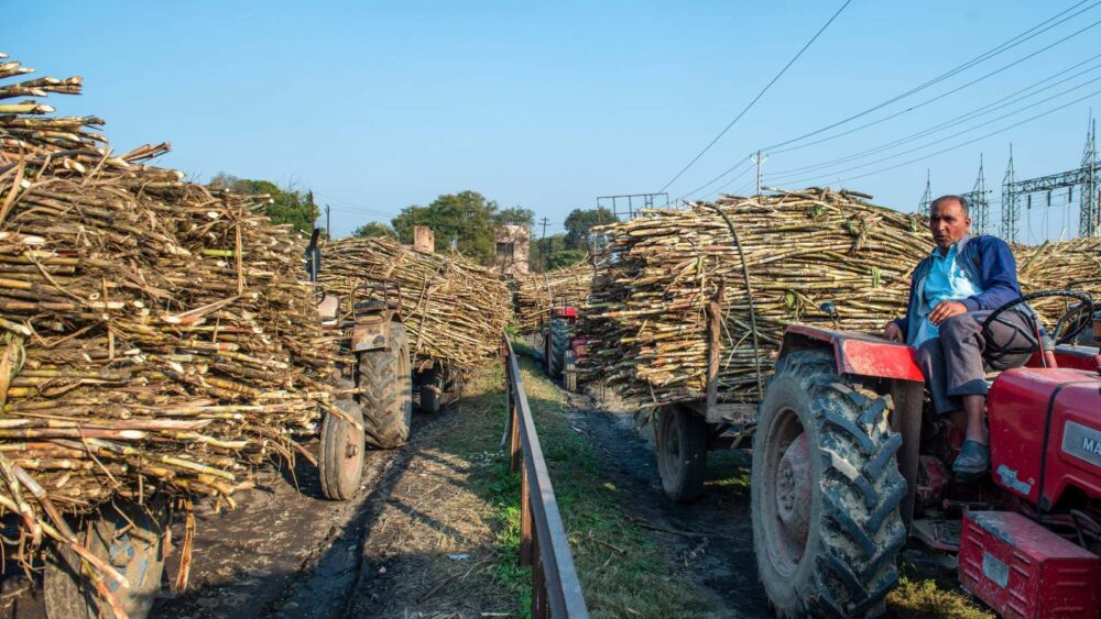 UP Sugarcane Price Hike
