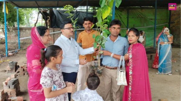 Tree Plantation